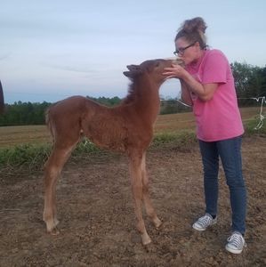 Meet your Posher, Tammy